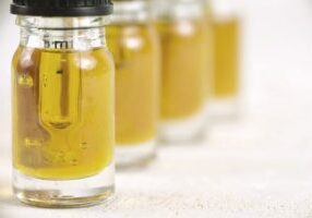 cannabis-oil-v2021 cannabis-oil-v2021